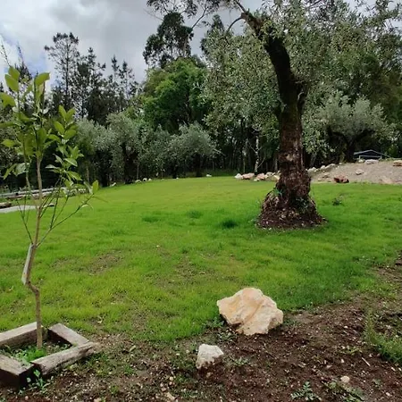 Farm stay Poco E Meio - Padel & Pool - Adults Only *
