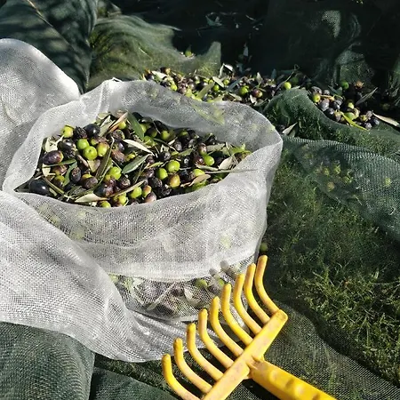 Poco E Meio - Padel & Pool 农家乐