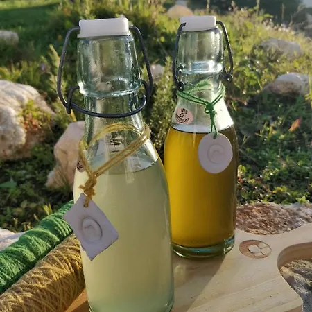 Poco E Meio - Padel & Pool Santiago da Guarda