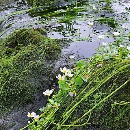 Poco E Meio - Padel & Pool *