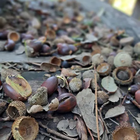 Poco E Meio - Padel & Pool Agroturismo *