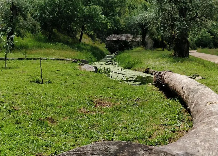 Фермерский дом Poco E Meio - Padel & Pool