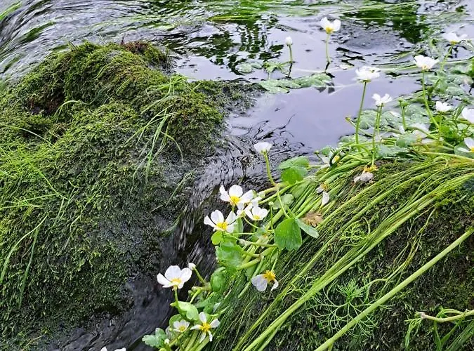 Poco E Meio - Padel & Pool *
